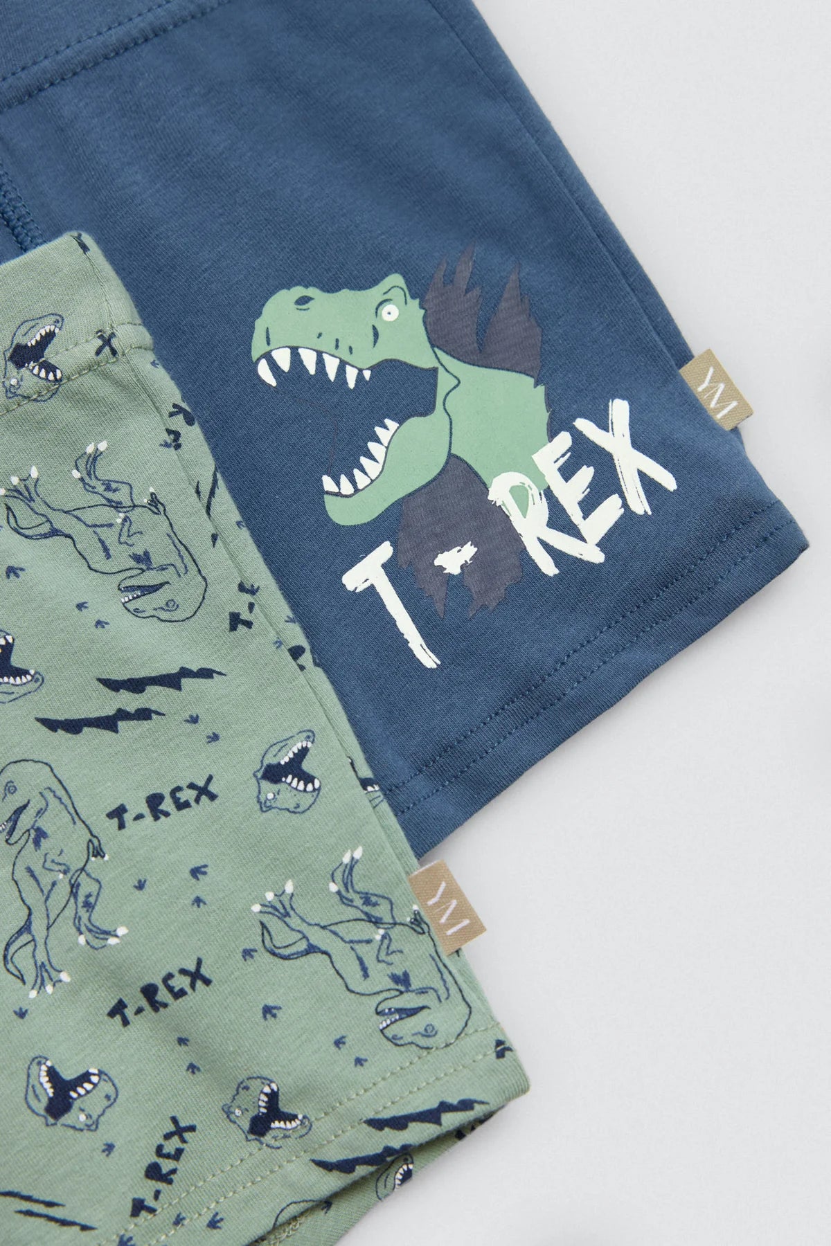 Lot de 2 boxers T-Rex