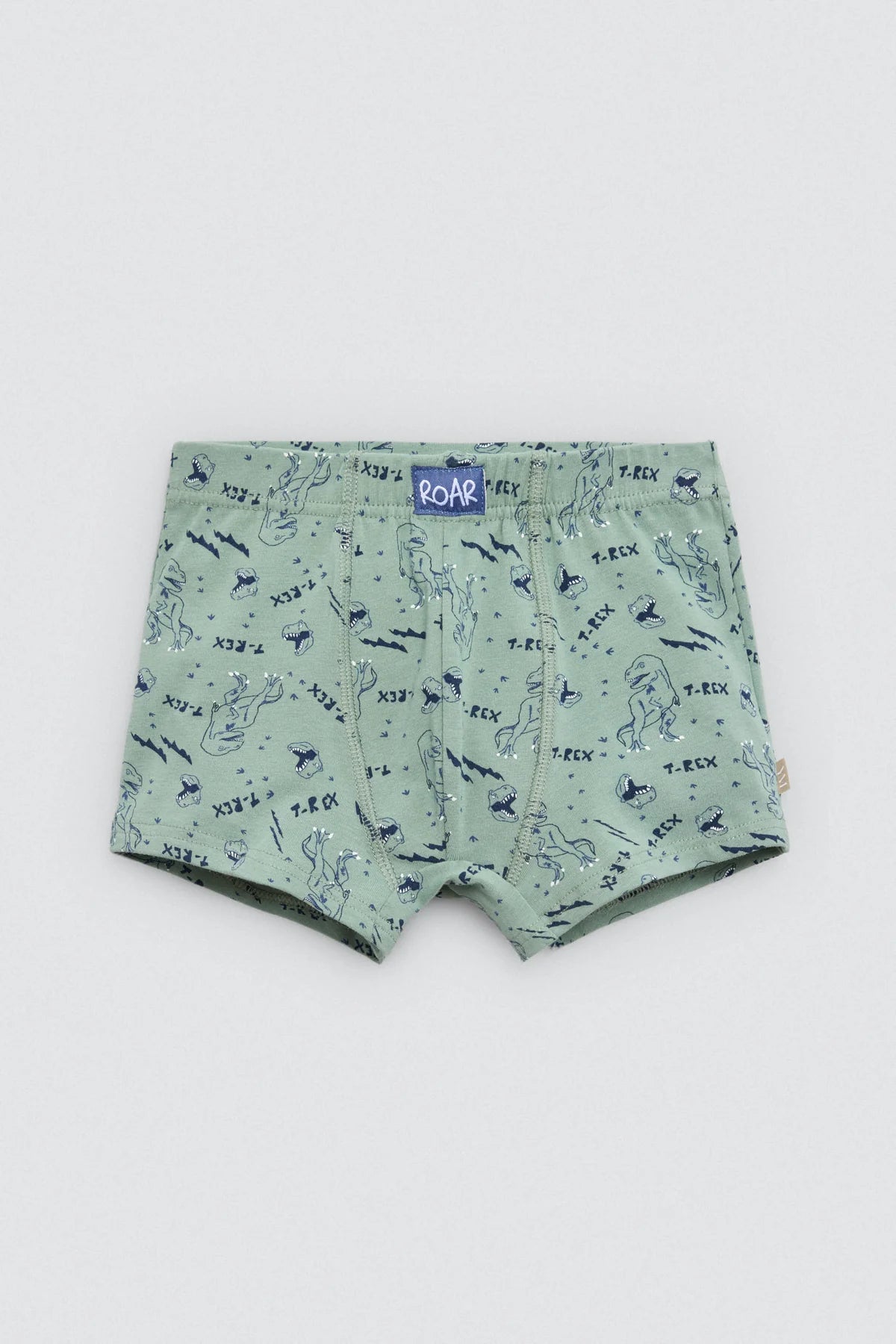Lot de 2 boxers T-Rex