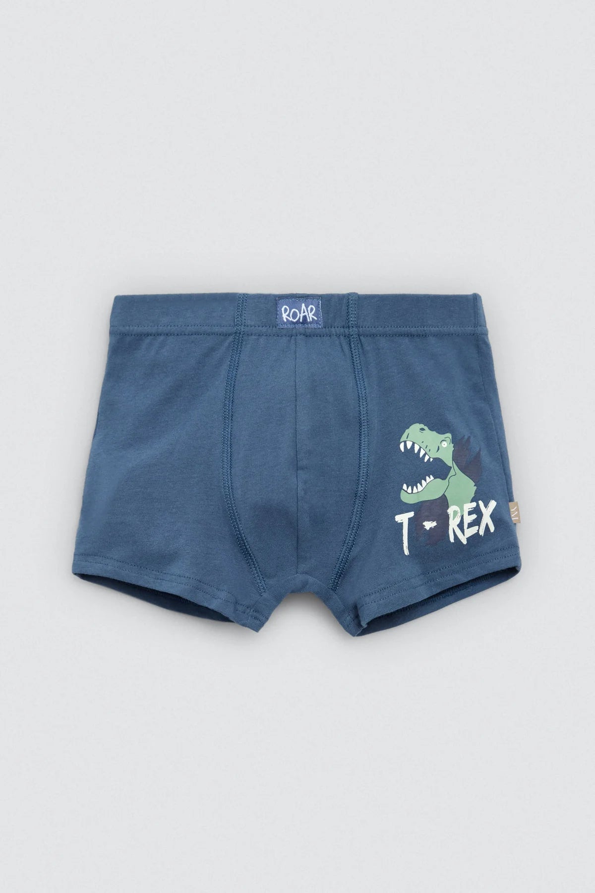 Lot de 2 boxers T-Rex