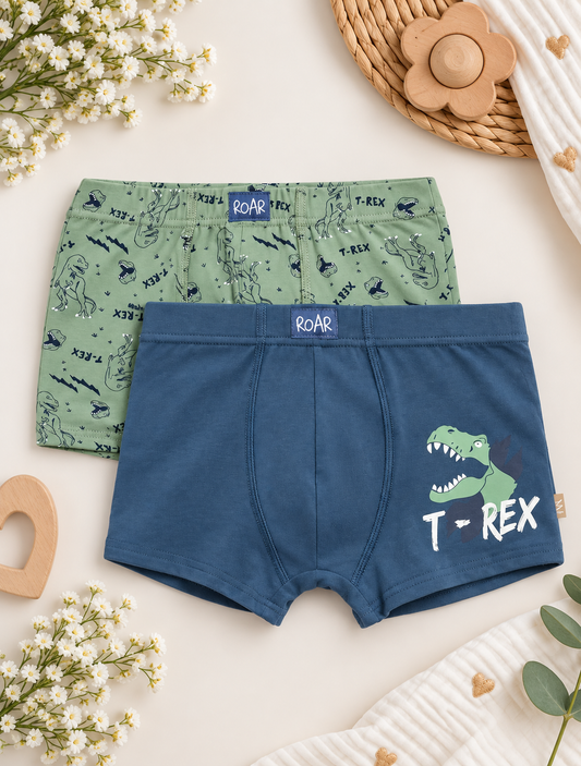 Lot de 2 boxers T-Rex